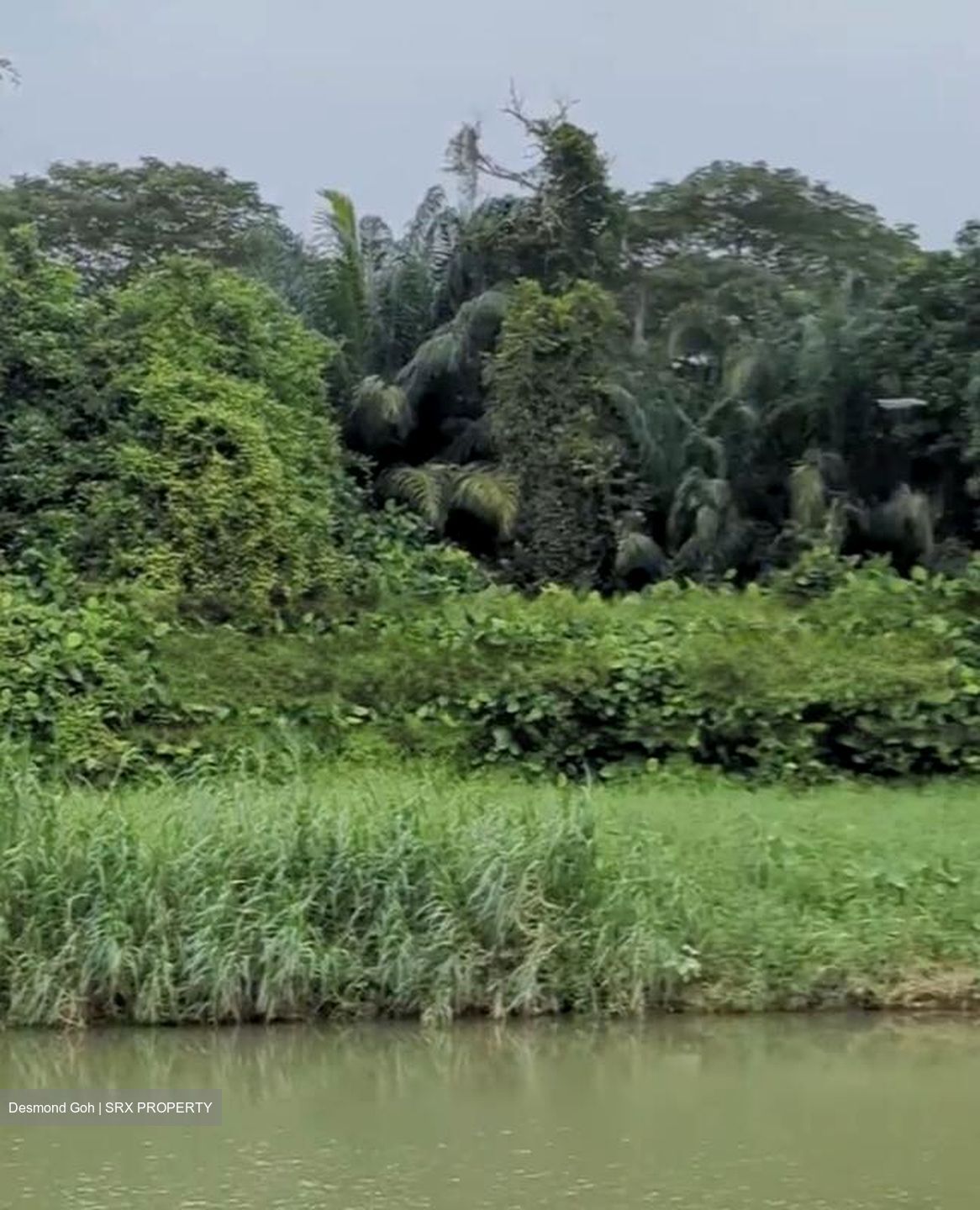 Waterfront @ Faber (D5), Apartment #478298051